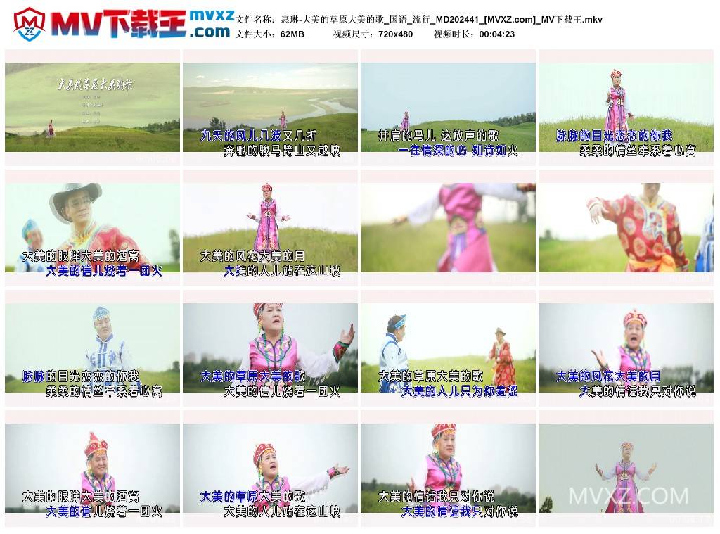 惠琳-大美的草原大美的歌_国语_流行_MD202441